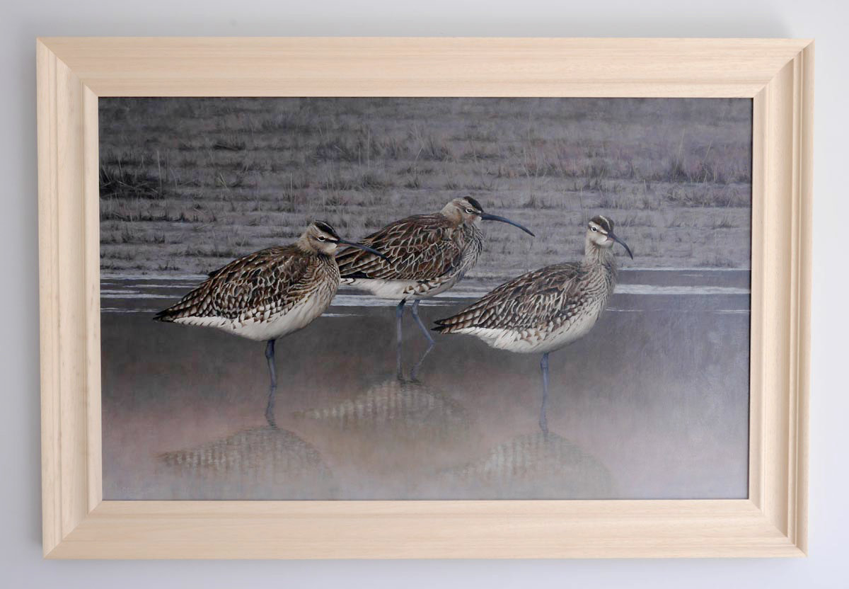 whimbrel painting Bird Art by Chris Lodge