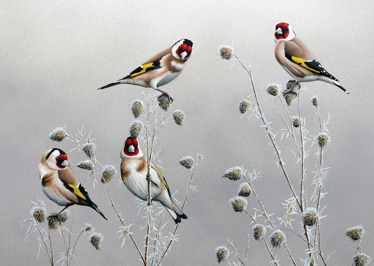Winter Goldfinches Bird Print by bird artist Chris Lodge